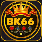 BK66.com