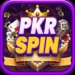 PKRSPIN APK